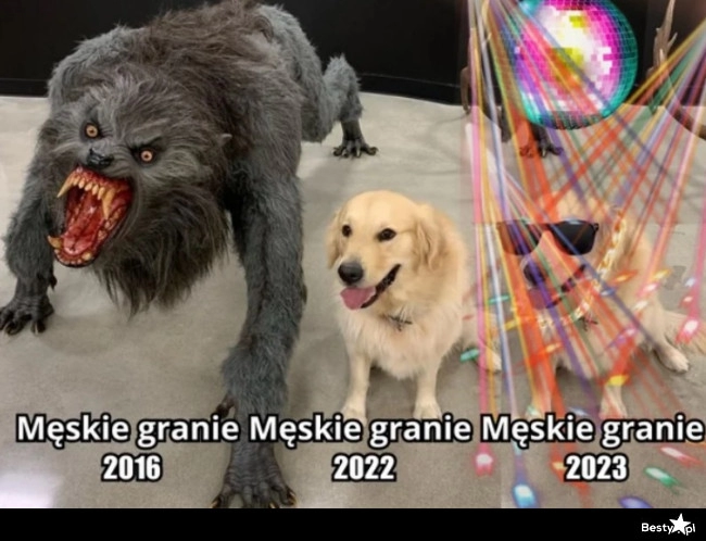 
    Męskie granie 