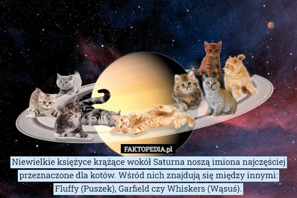 
    Niewielkie księżyce krążące wokół Saturna noszą imiona najczęściej przeznaczone