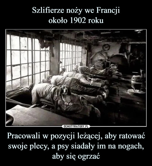 
    Szlifierze noży we Francji
około 1902 roku Pracowali w pozycji leżącej, aby ratować swoje plecy, a psy siadały im na nogach, aby się ogrzać