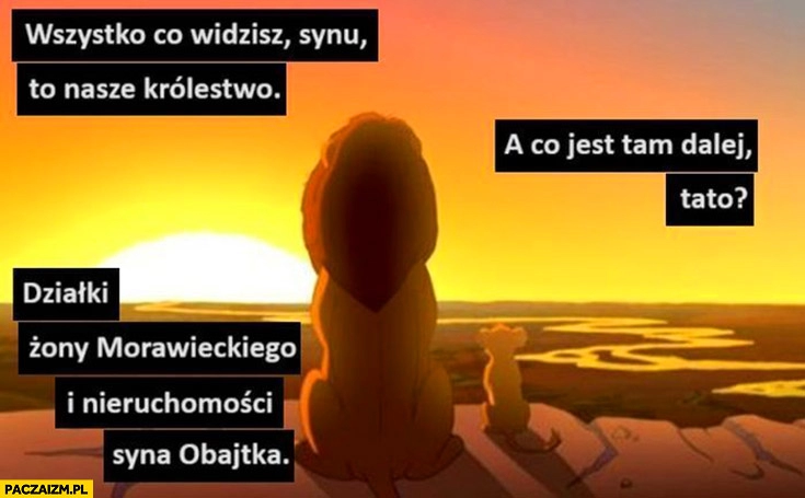 
    Wszystko co widzisz synu to nasze królestwo, a tam dalej? Działki żony Morawieckiego, nieruchomosci syna Obajtka Król Lew