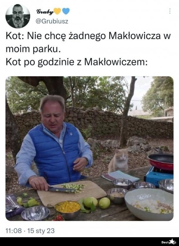 
    Nowy przyjaciel 