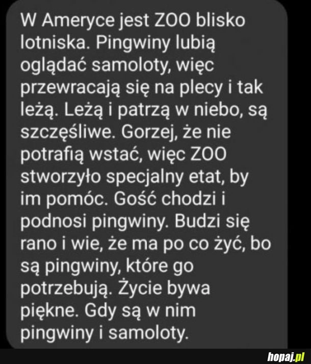 
    Praca marzeń