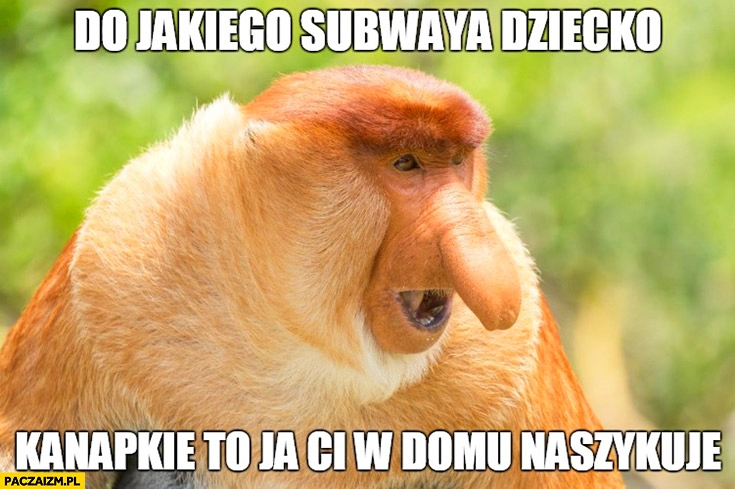 
    Do jakiego Subwaya dziecko? Kanapkę to ja Ci w domu naszykuję typowy Polak nosacz