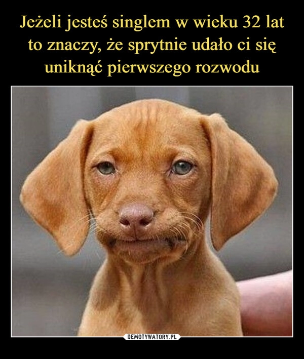 
    Jeżeli jesteś singlem w wieku 32 lat to znaczy, że sprytnie udało ci się uniknąć pierwszego rozwodu