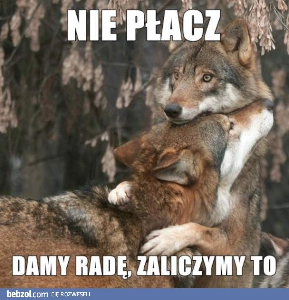 
    Bądź twardy