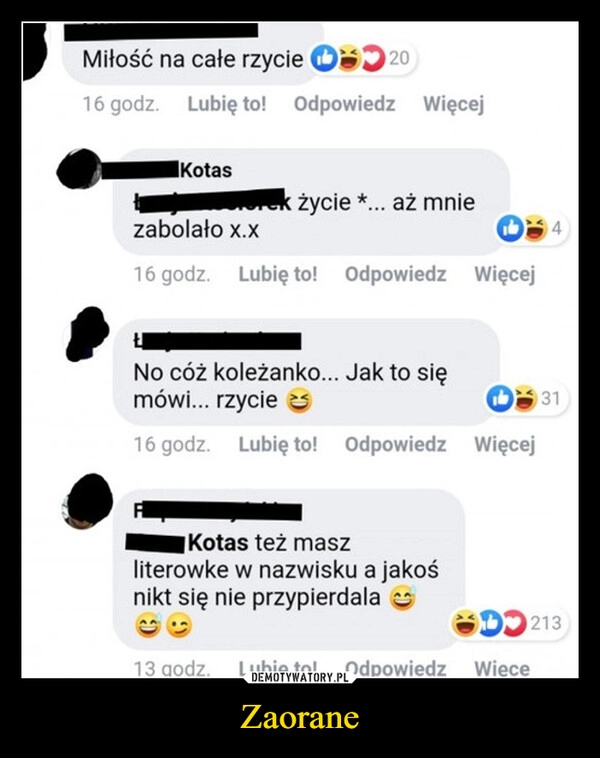 
    Zaorane