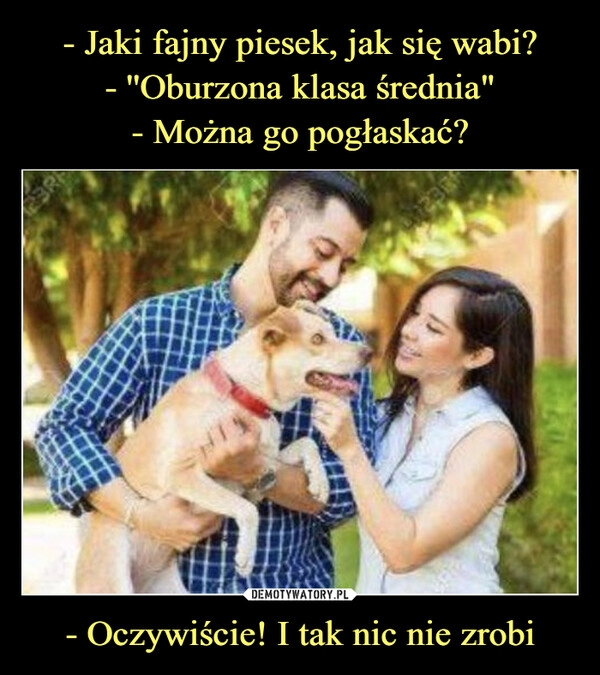 
    - Jaki fajny piesek, jak się wabi?
- ''Oburzona klasa średnia"
- Można go pogłaskać? - Oczywiście! I tak nic nie zrobi