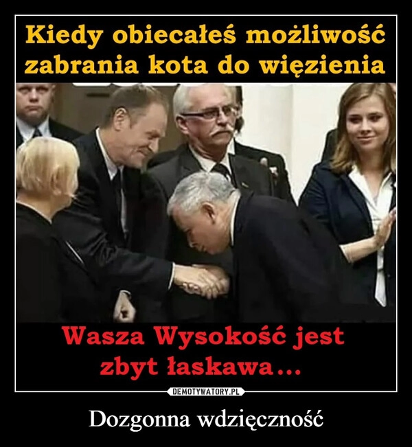 
    Dozgonna wdzięczność