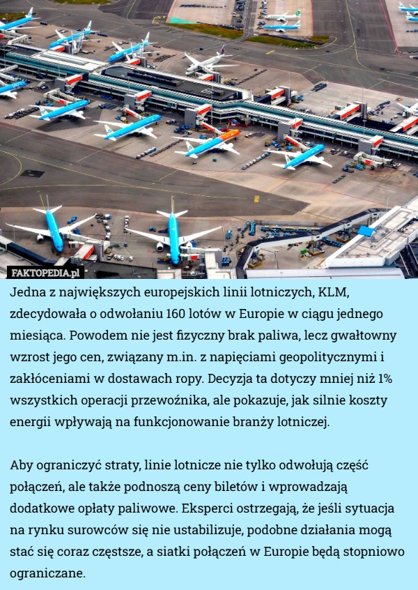 
    Jedna z największych europejskich linii lotniczych, KLM, zdecydowała o odwołaniu...
