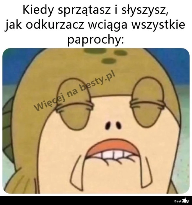 
    Cudowny dźwięk 