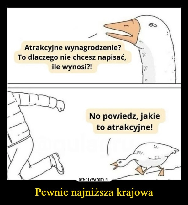 
    Pewnie najniższa krajowa