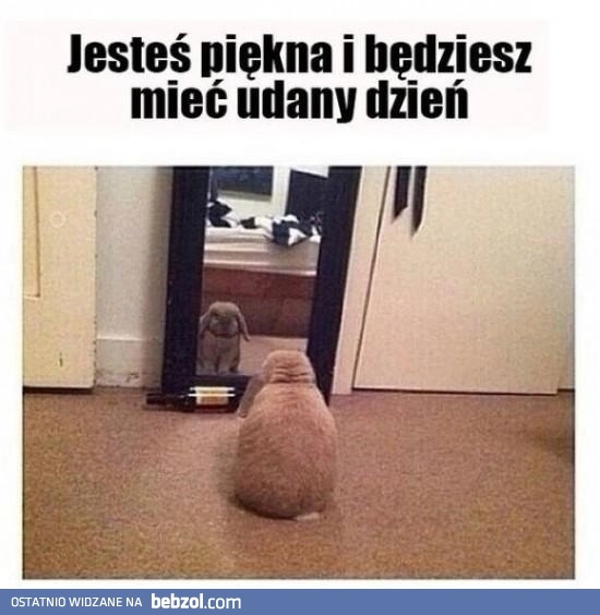 
    Jak cudownie