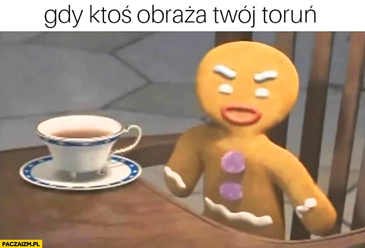 
    Gdy ktoś obraza Twój Toruń wkurzony piernik