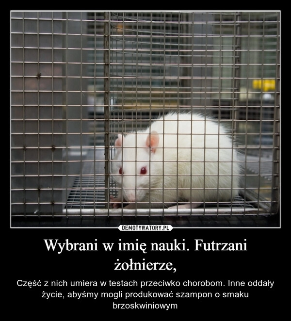 
    Wybrani w imię nauki. Futrzani żołnierze,