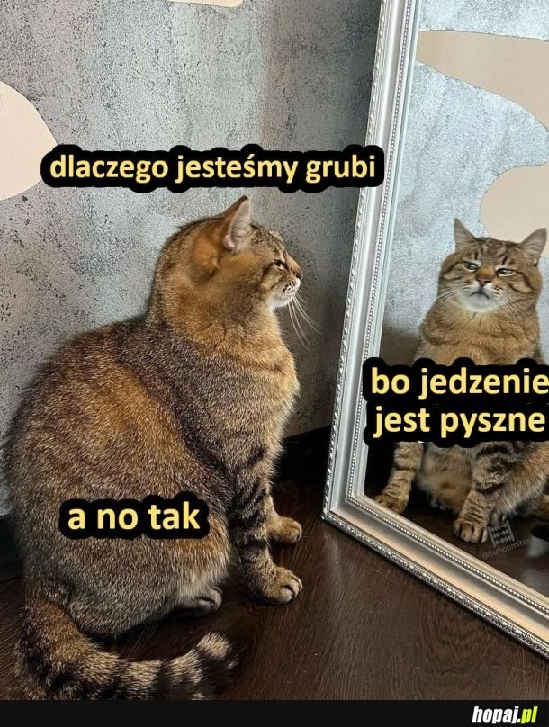 
    Jedzonko