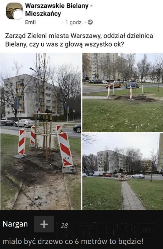 
    
			Mądre głowy					