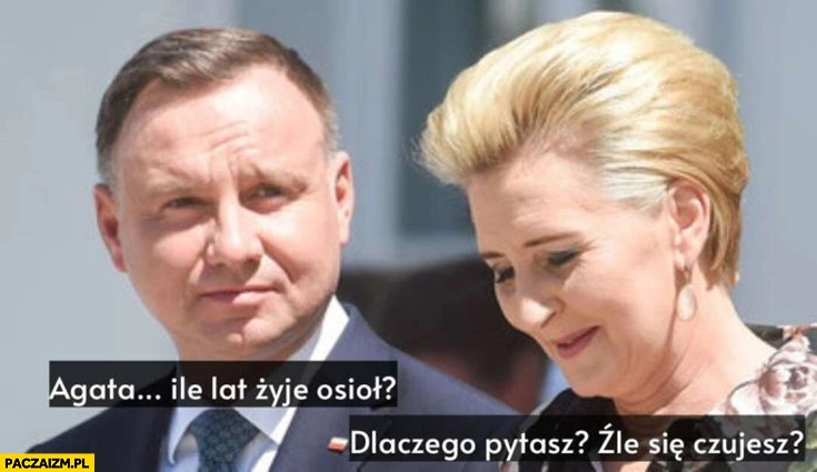 
    Duda Agata ile lat żyje osioł dlaczego pytasz źle się czujesz?