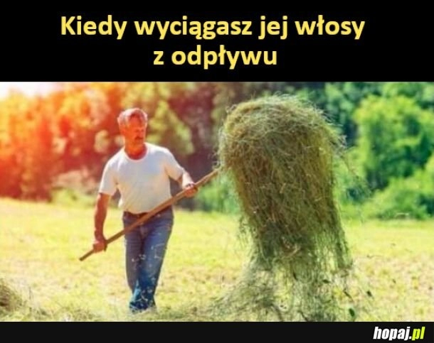 
    Kiedy wyciagasz jej włosy z odpływu