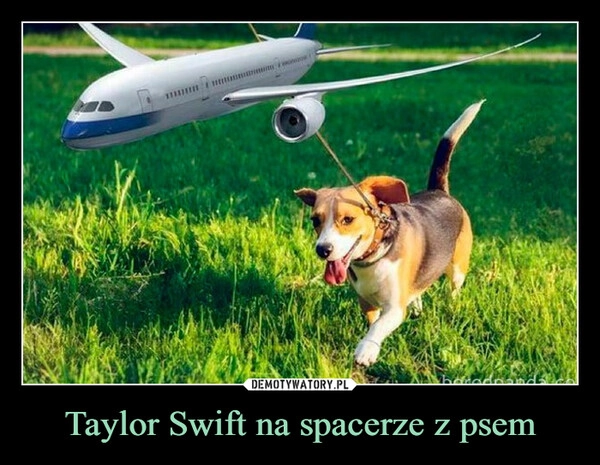 
    Taylor Swift na spacerze z psem