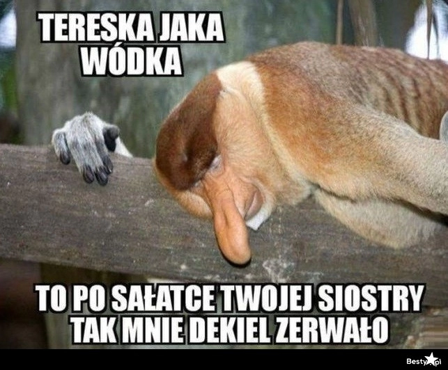 
    To wszystko przez sałatkę 