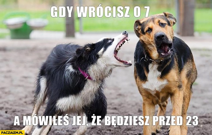 
    Gdy wrócisz o 7 a mówiłeś jej, że będziesz przed 23 zły pies