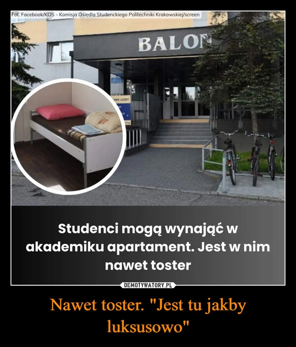 
    Nawet toster. "Jest tu jakby luksusowo"