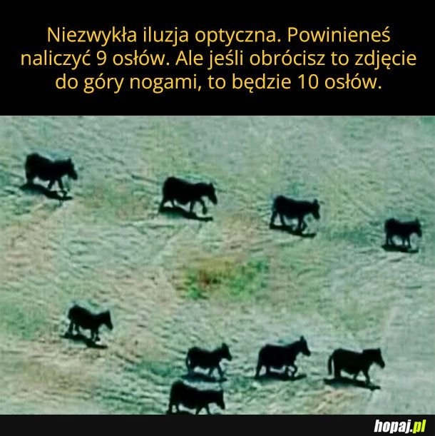 
    Niezwykła iluzja