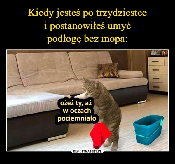 
    Kiedy jesteś po trzydziestce
i postanowiłeś umyć
podłogę bez mopa: