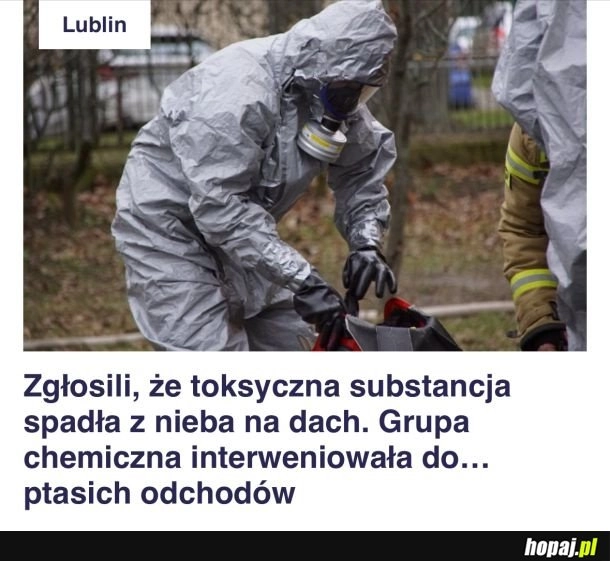 
    Media ciągle trąbią o wojnie to i takie są efekty