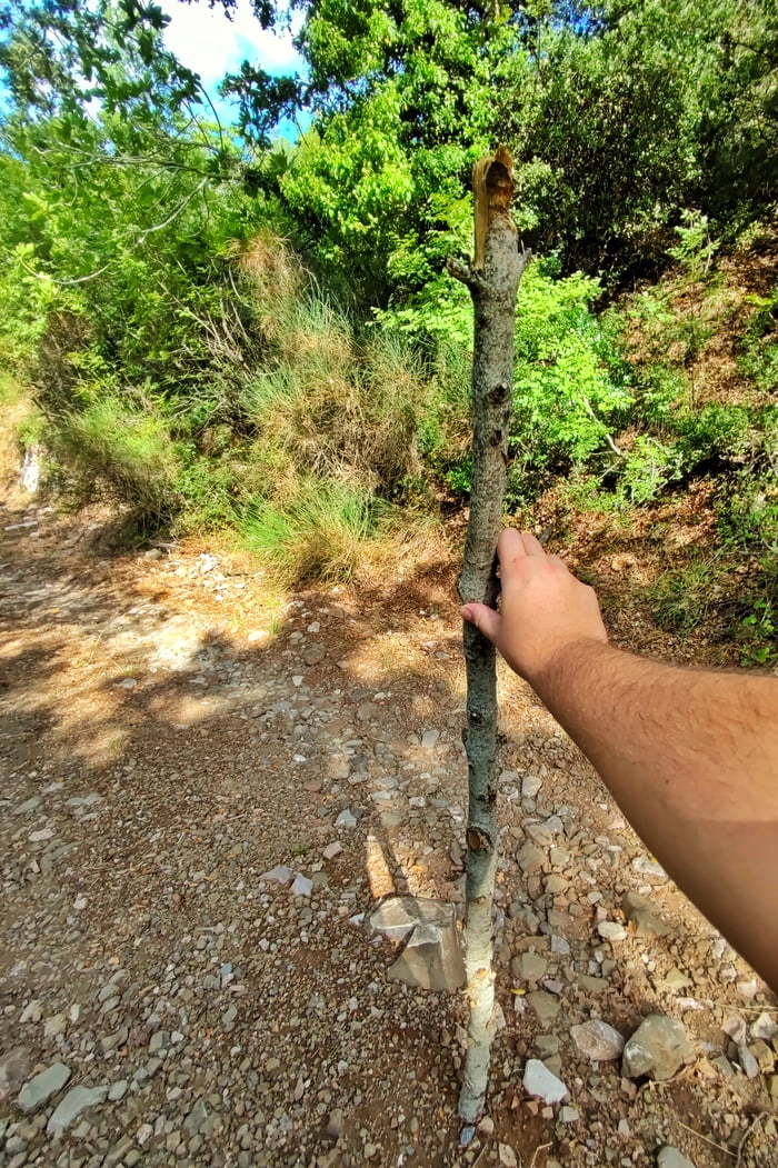 
    Went on a hike and found this bad boy. Rate my stick!