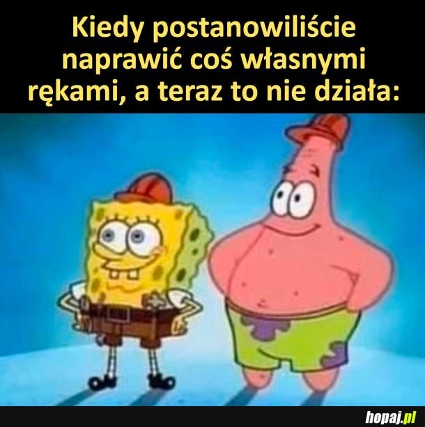 
    Złota rączka