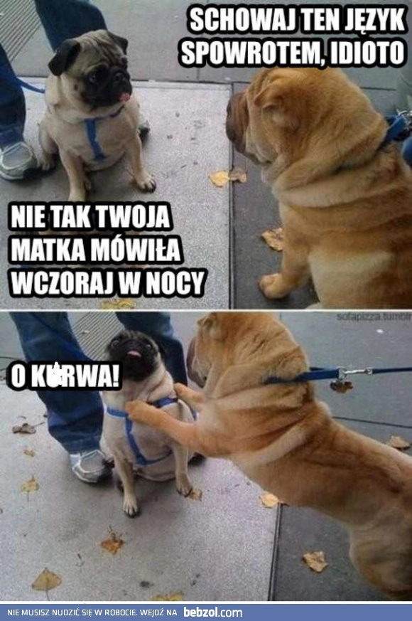 
    Długi język