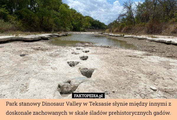 
    Park stanowy Dinosaur Valley w Teksasie słynie między innymi z doskonale