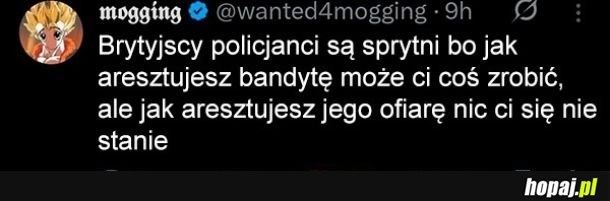 Brytyjscy policjanci