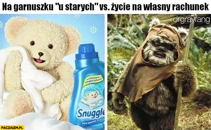 
    Na garnuszku u rodziców starych vs życie na własny rachunek porównanie Ewok miś z reklamy