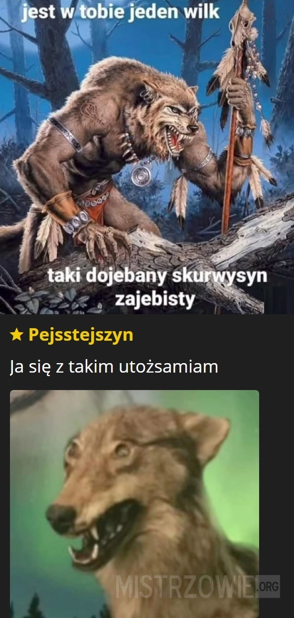 
    Wilk