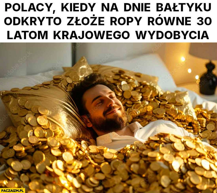 
    Polacy kiedy na dnie Bałtyku odkryto złoże ropy równe 30 latom krajowego wydobycia bogaci złoto