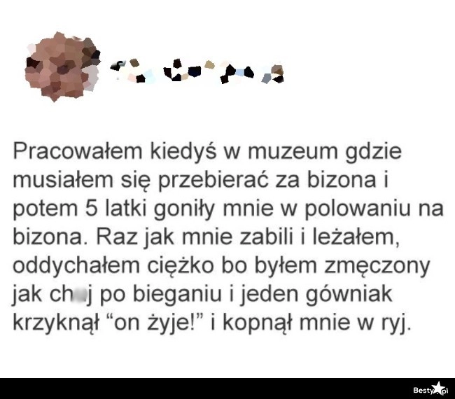 
    Polowanie na bizona 