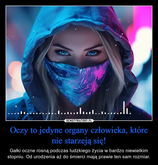 
    Oczy to jedyne organy człowieka, które nie starzeją się!