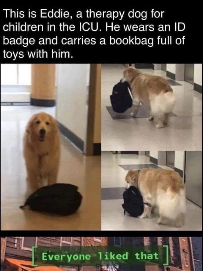 
    Good boi eddie