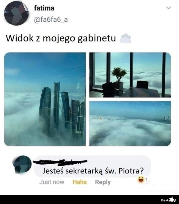 
    Widok z gabinetu 