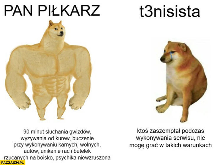 
    Pan piłkarz vs tenisista ktoś zaszeptał podczas serwisu nie mogę grać w takich warunkach pies pieseł doge cheems