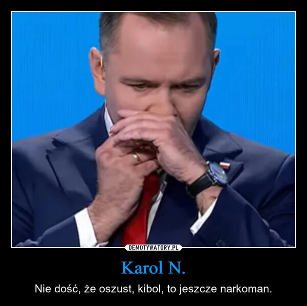 
    Karol N.