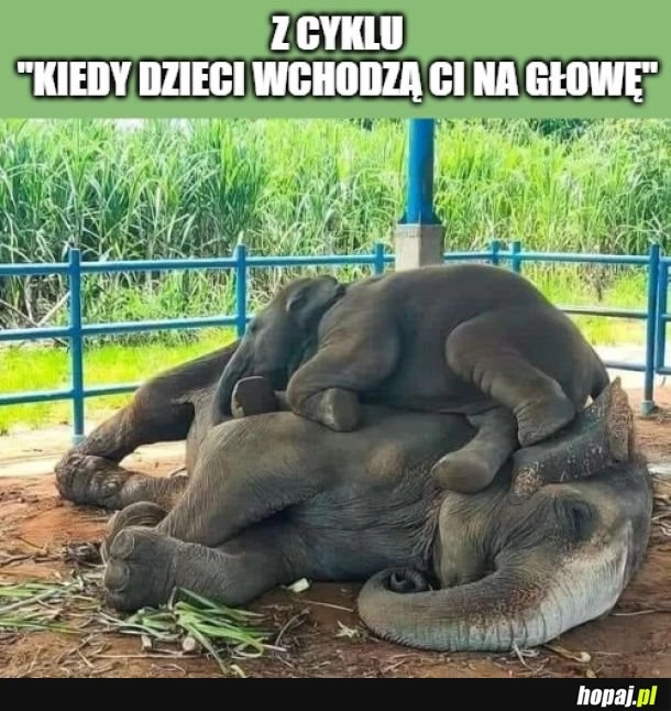 
    Byle tylko dało pospać