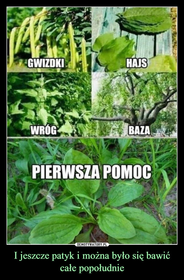 
    I jeszcze patyk i można było się bawić całe popołudnie