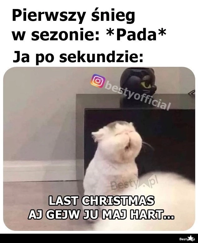 
    Pierwszy śnieg w sezonie 