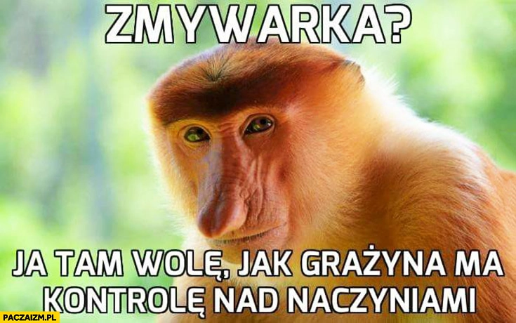 
    Zmywarka ja tam wolę jak Grażyna ma kontrolę nad naczyniami typowy Polak nosacz małpa