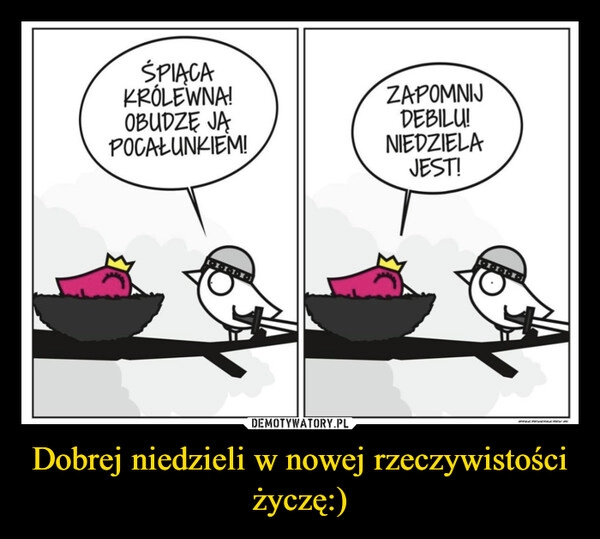 
    Dobrej niedzieli w nowej rzeczywistości życzę:)