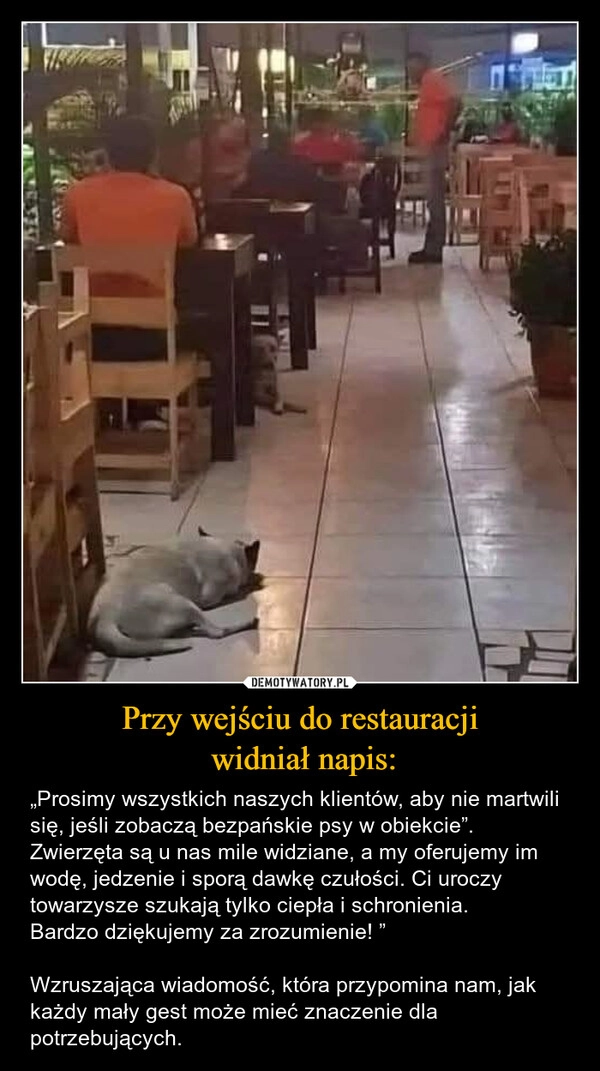 
    Przy wejściu do restauracji
 widniał napis: