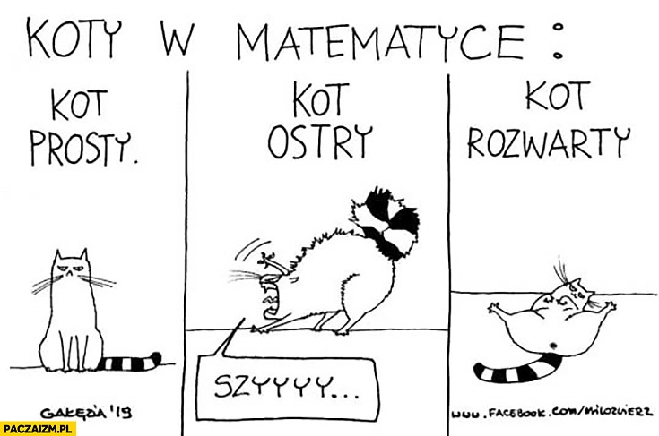 
    Koty w matematyce kot prosty kot ostry kot rozwarty